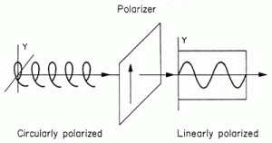 polarizedlight03